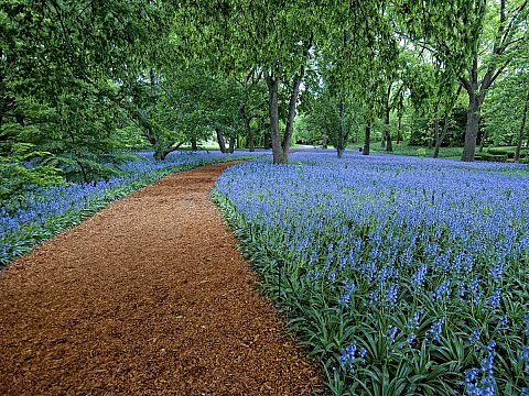 Brooklyn Botanic Garden